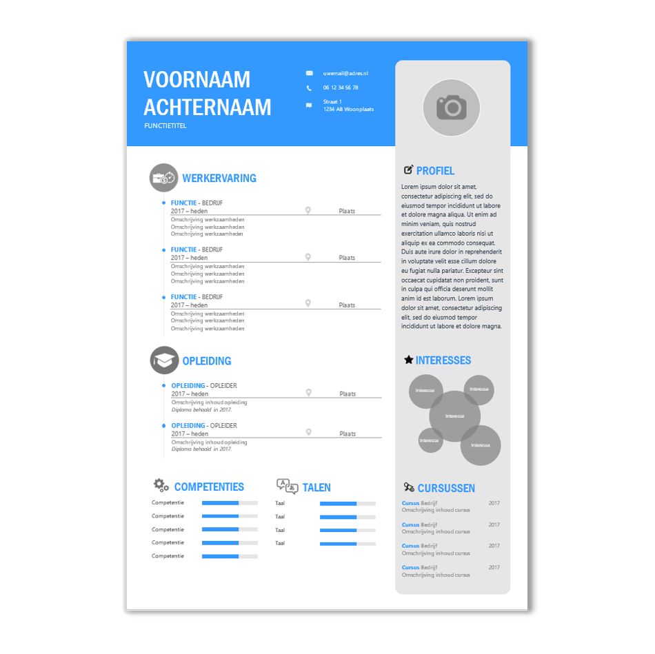 CV template 18
