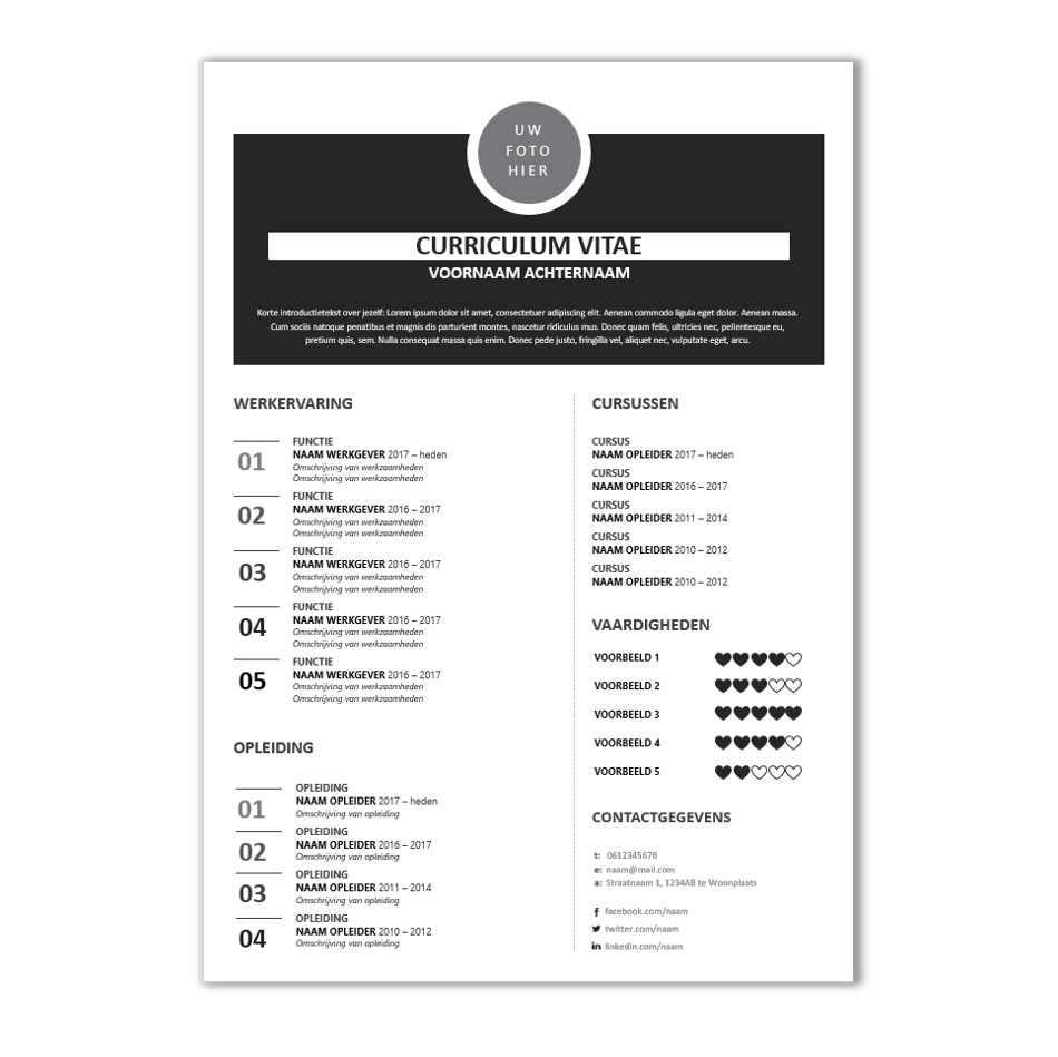 CV template 19