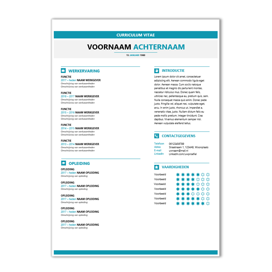 CV template 23