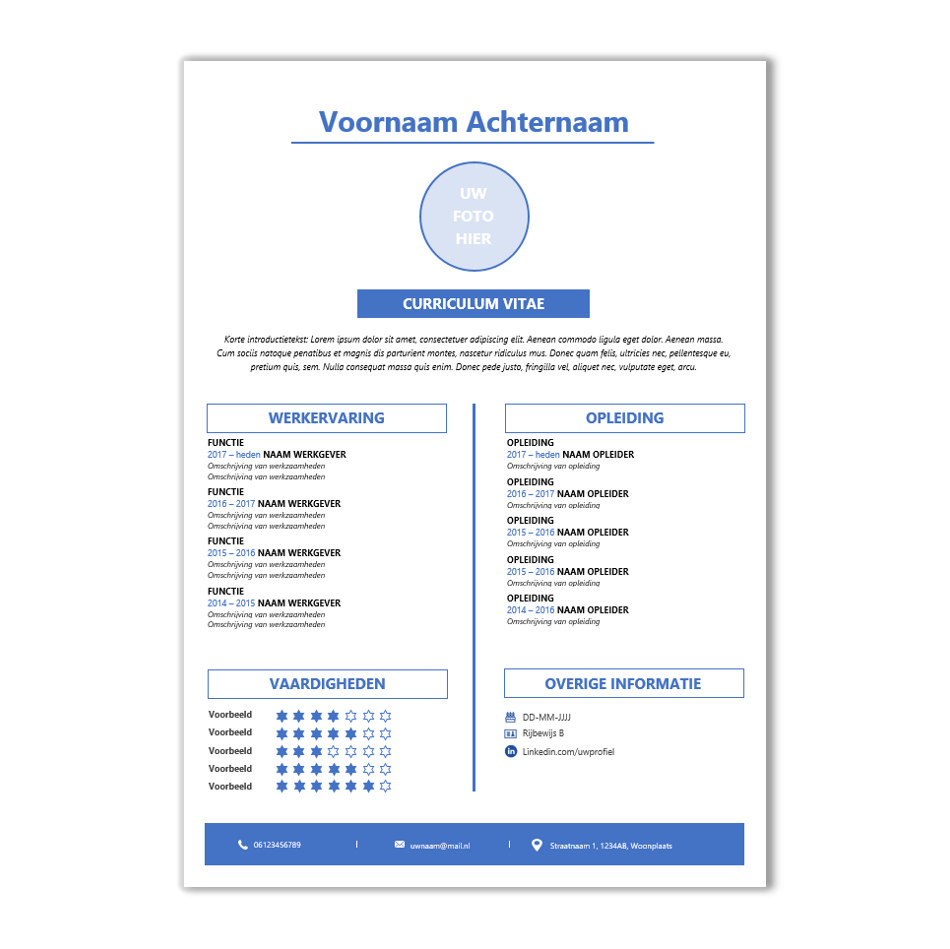 CV template 28