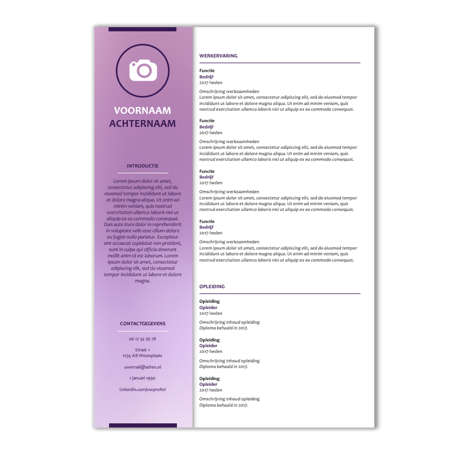 CV template 90